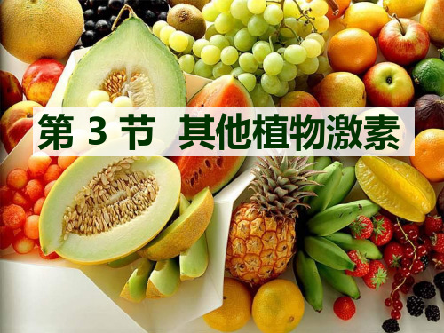 人教版高中生物必修三课件-其他植物激素-ppt精品课件
