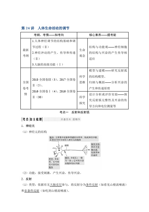 2020版生物高考新素养总复习苏教版讲义：第24讲+人体生命活动的调节和答案