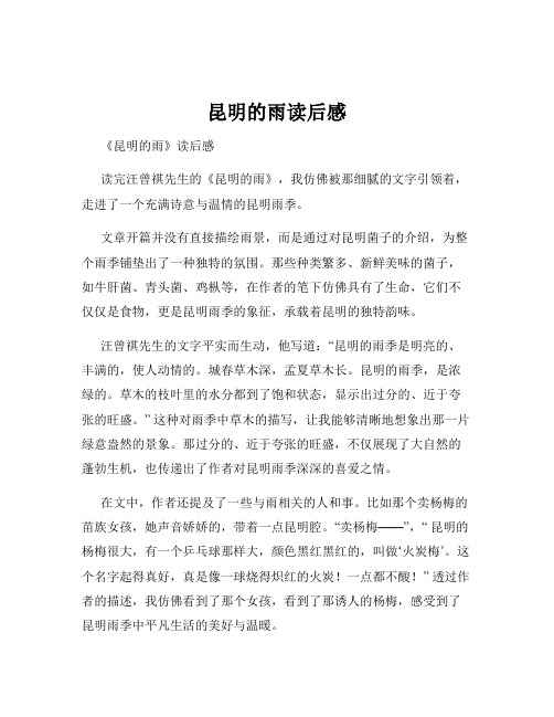 昆明的雨读后感