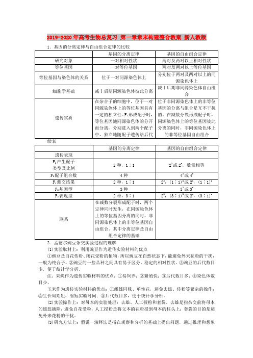 2019-2020年高考生物总复习 第一章章末构建整合教案 新人教版