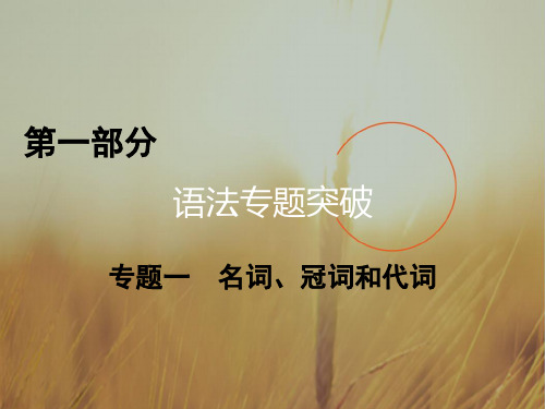 2017高考二轮英语复习课件：专题一 名词、冠词和代词 第1讲 精品