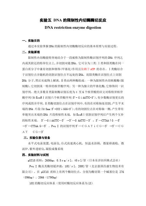 实验五 DNA的限制性内切酶酶切反应(定稿)