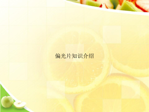 偏光片知识介绍优选文档