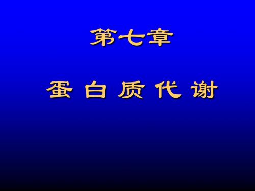 蛋白质代谢