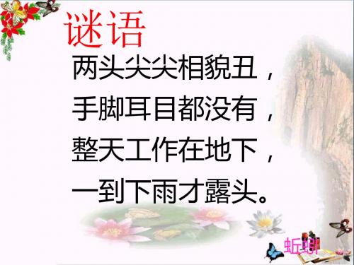 三年级科学上册5.1《探访蚯蚓的家》 优秀课件2大象版