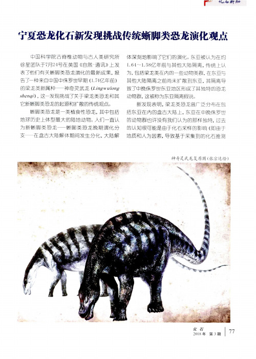 宁夏恐龙化石新发现挑战传统蜥脚类恐龙演化观点