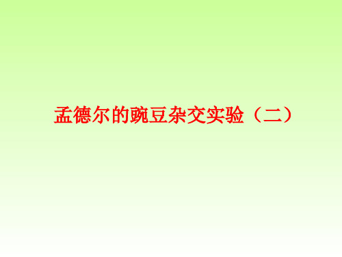 孟德尔的豌豆杂交实验(二)