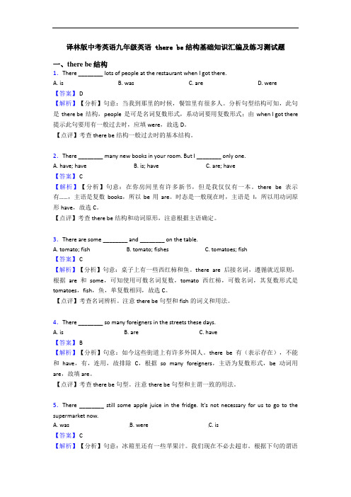 译林版中考英语九年级英语 there be结构基础知识汇编及练习测试题