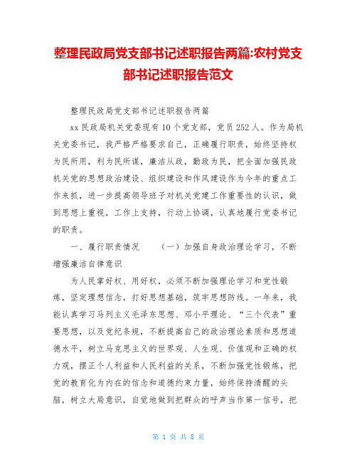 整理民政局党支部书记述职报告两篇-农村党支部书记述职报告范文