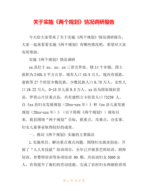 关于实施《两个规划》情况调研报告