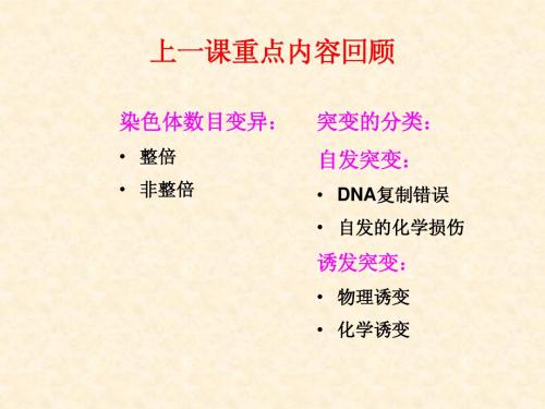 转座因子的遗传分析
