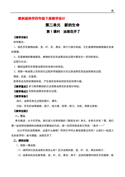 教科版科学四年级下册第二单元第1课时  油菜花开了教案