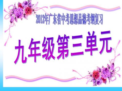 第三单元 科学发展 国强民安 课件2(政治粤教版九年级全册)