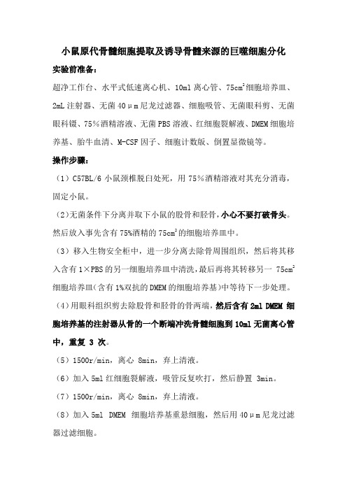 小鼠原代骨髓细胞提取及诱导骨髓来源的巨噬细胞分化方法(详细版)