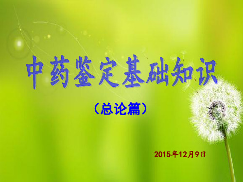 中药鉴定学基础知识