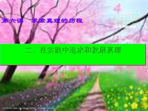 在实践中追求和发展真理PPT课件21 人教课标版
