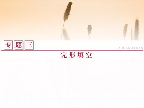 2016版高考英语(通用版)二轮复习课件：专题三+完形填空