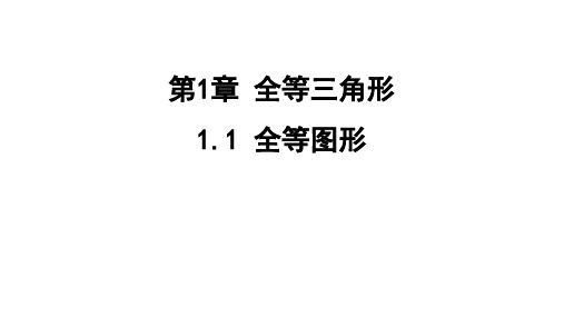 1.1 全等图形课件 苏科版数学八年级上册