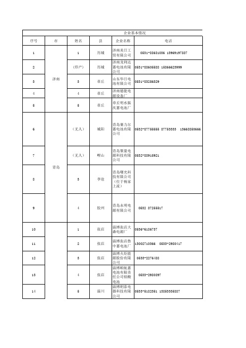 山东省铅蓄电池企业名单