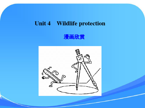 人教新课标知识点复习-必修二 Unit 4 Wildlife protection[1]