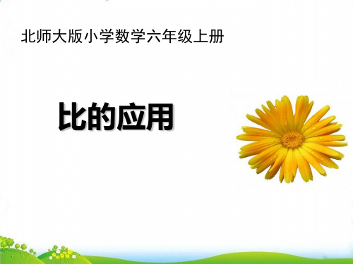 六年级上册数学PPT-比的应用-北师大版(18)(21张)-精品课件