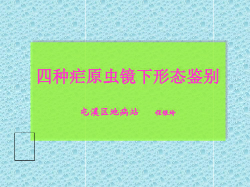 四种疟原虫镜下图(1)