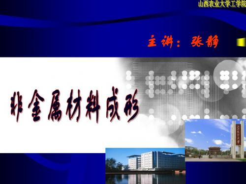 材料成形技术基础非金属材料