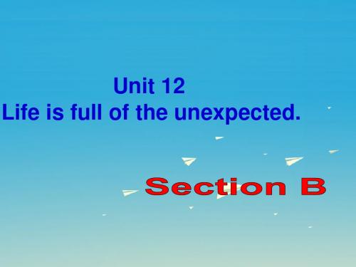 九年级英语全册 Unit 12 Life is full of the unexpec