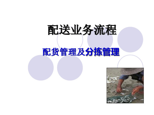 配送业务流程配货及分拣作业管理教材.pptx