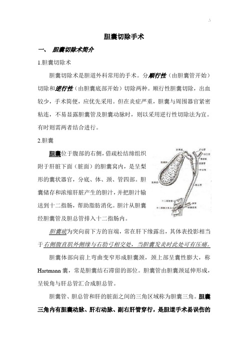 胆囊切除手术经过流程
