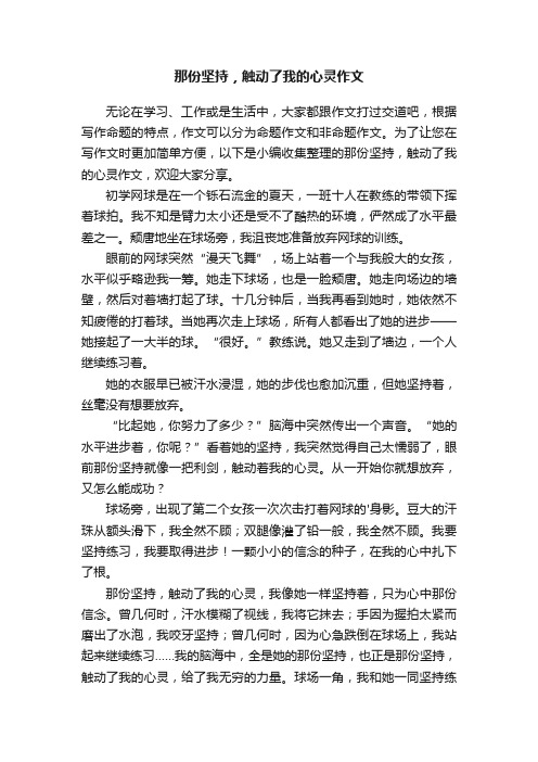 那份坚持，触动了我的心灵作文