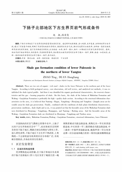 下扬子北部地区下古生界页岩气形成条件