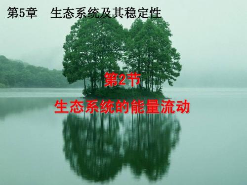 人教版教学课件3.5.2《生态系统的能量流动》