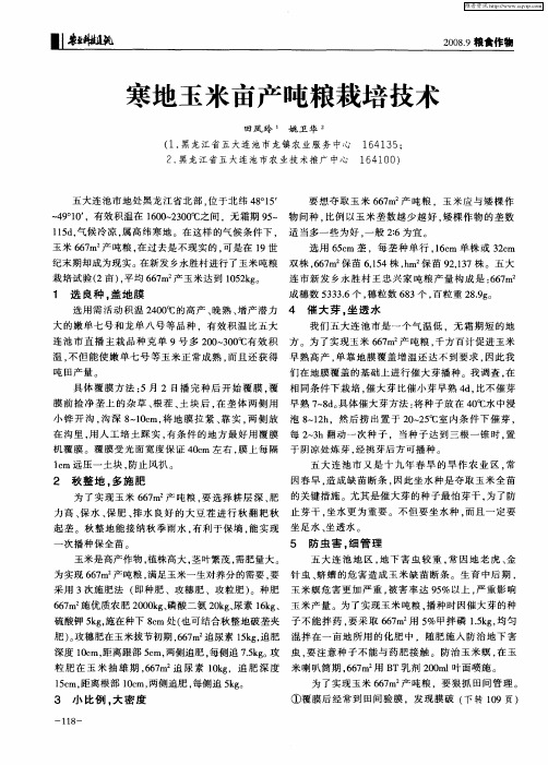 寒地玉米亩产吨粮栽培技术