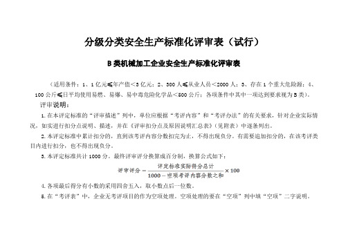 B类分级分类安全生产标准化评审表
