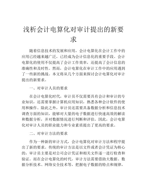 浅析会计电算化对审计提出的新要求