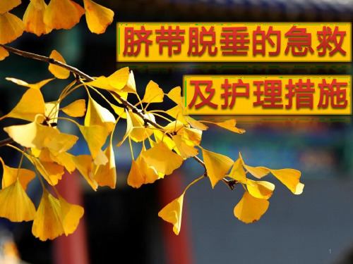 脐带脱垂PPT学习课件