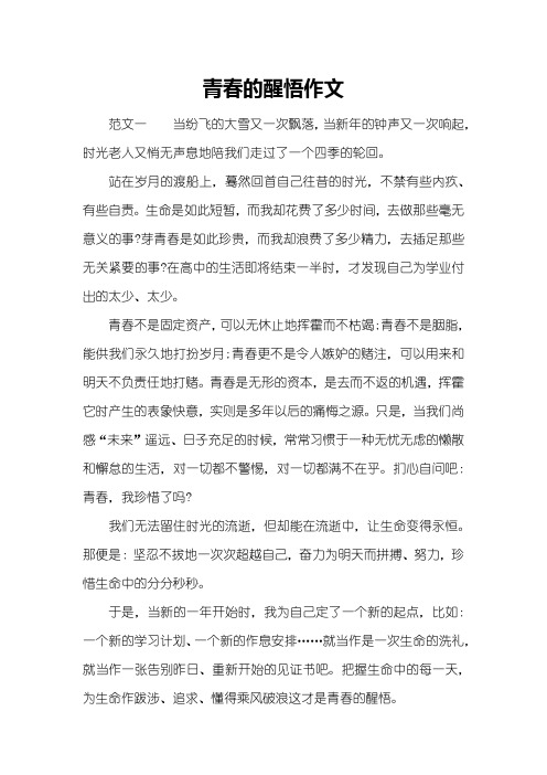 青春的醒悟作文_1