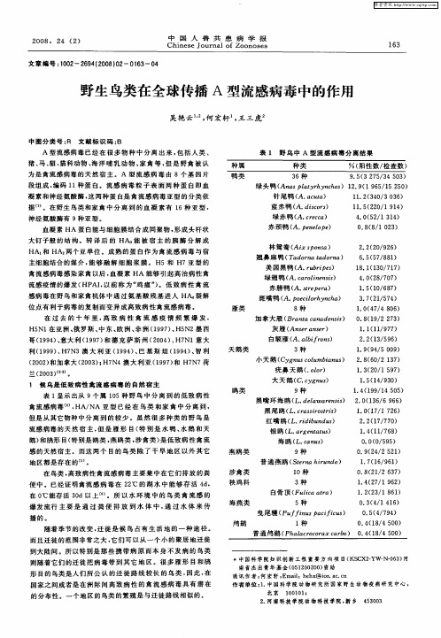 野生鸟类在全球传播A型流感病毒中的作用