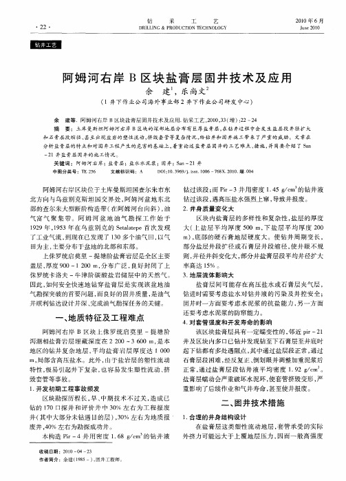 阿姆河右岸B区块盐膏层固井技术及应用