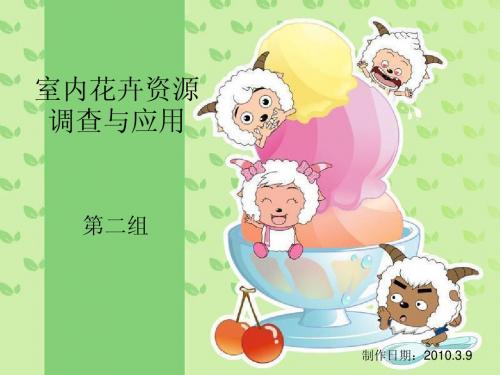 无患子的播种实验