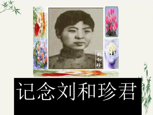 记念刘和珍君PPT(优秀课件)30 人教版