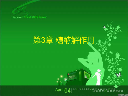 生物化学-3