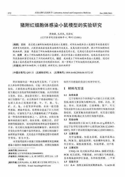 猪附红细胞体感染小鼠模型的实验研究