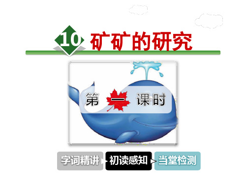 冀教版 三年级下册语文课件-10.矿矿的研究 第1课时