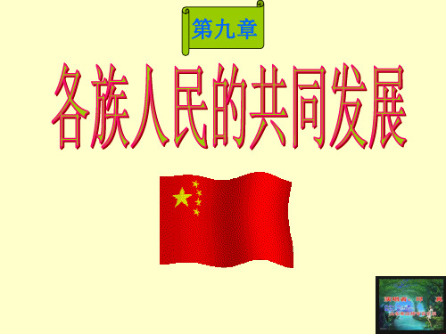 各族人民的共同发展