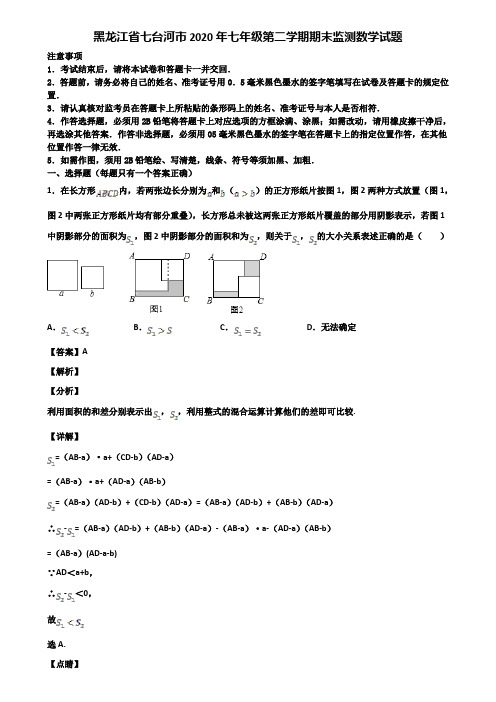 黑龙江省七台河市2020年七年级第二学期期末监测数学试题含解析