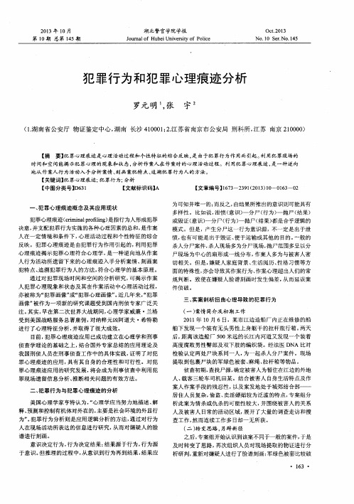 犯罪行为和犯罪心理痕迹分析