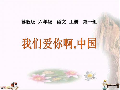 六年级语文上册 第1课 我们爱你啊,中国课件 苏教版