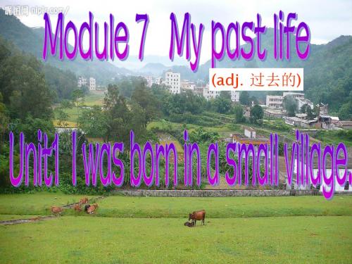 外研英语M7七下my past life unit 1